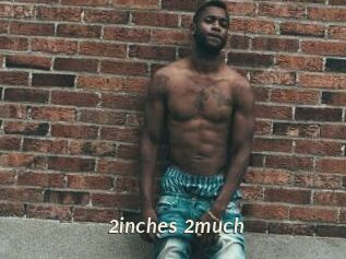2inches_2much