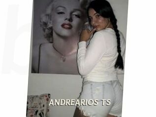 ANDREARIOS_TS