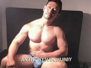 ANTHONYSUBCHUBBY