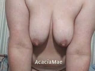 AcaciaMae
