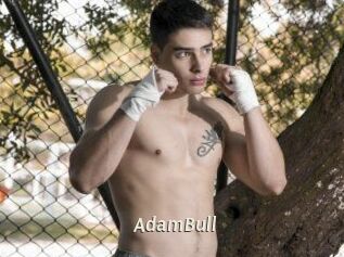 AdamBull