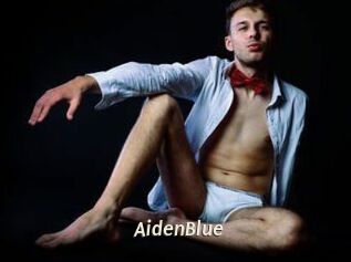 AidenBlue Blog éjac