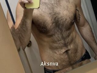 Aksnva Blog éjac