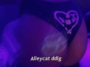 Alleycat_ddlg