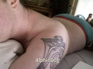 Alphie_Dog