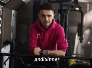 AndiSinner