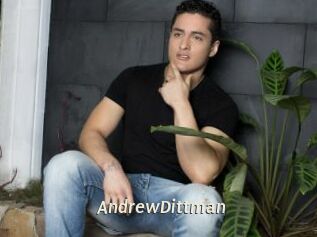 AndrewDittman