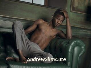 AndrewSlimCute