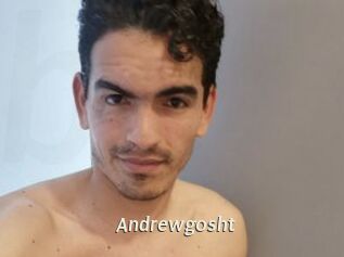 Andrewgosht