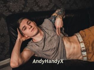AndyHandyX