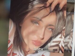 Aneu