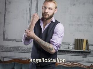 AngelloStallion