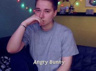 Angry_Bunny