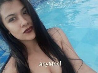 AnyMeel