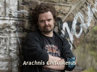 Arachnis_Chiropterus