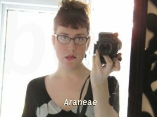 Araneae