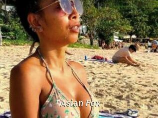 Asian_Fox