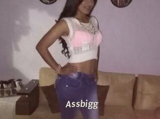 Assbigg
