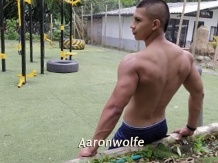 Aaronwolfe