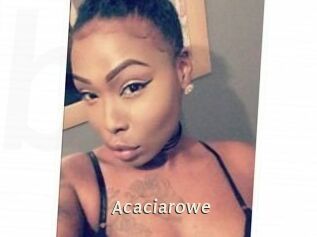 Acacia_rowe