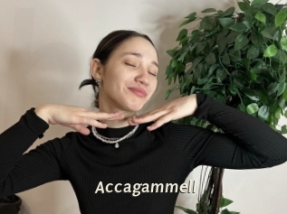 Accagammell