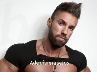 Adonis_muscles