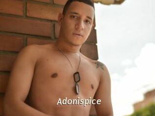 Adonispice