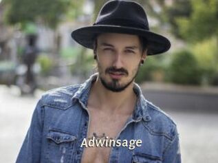 Adwinsage