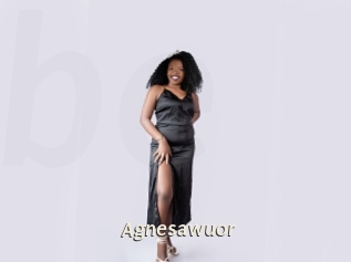 Agnesawuor