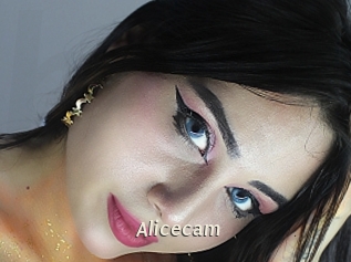 Alicecam
