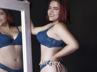 Alicerey