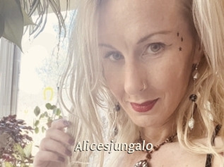 Alicesjungalo