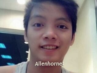 Allen_hornet