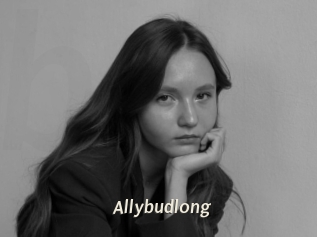Allybudlong