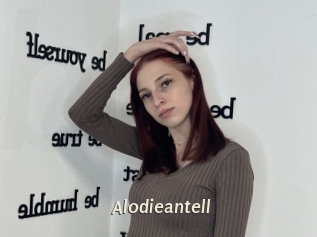 Alodieantell