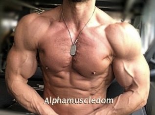 alphamuscledom Blog éjac