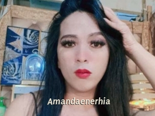 Amandaenerhia