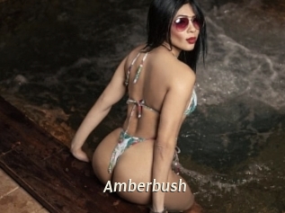Amberbush