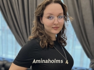 Aminaholms