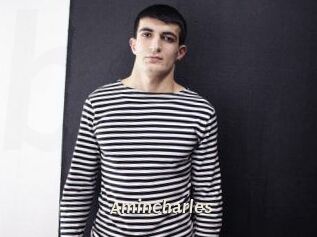 Amincharles