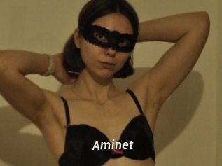 Aminet