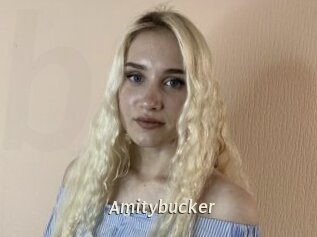 Amitybucker
