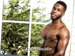Andresbaudin