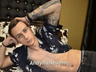 Andyhandsome