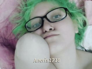 Aneris1718