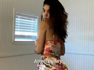 Angelbunny