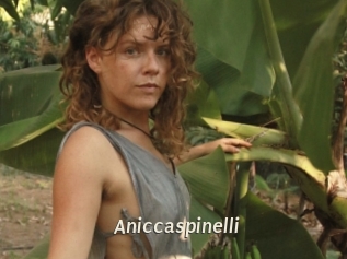 Aniccaspinelli