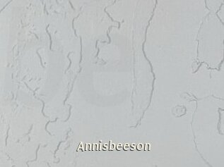 Annisbeeson