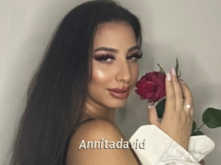Annitadavid