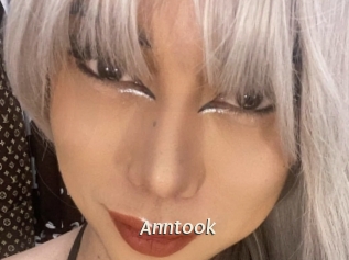 Anntook